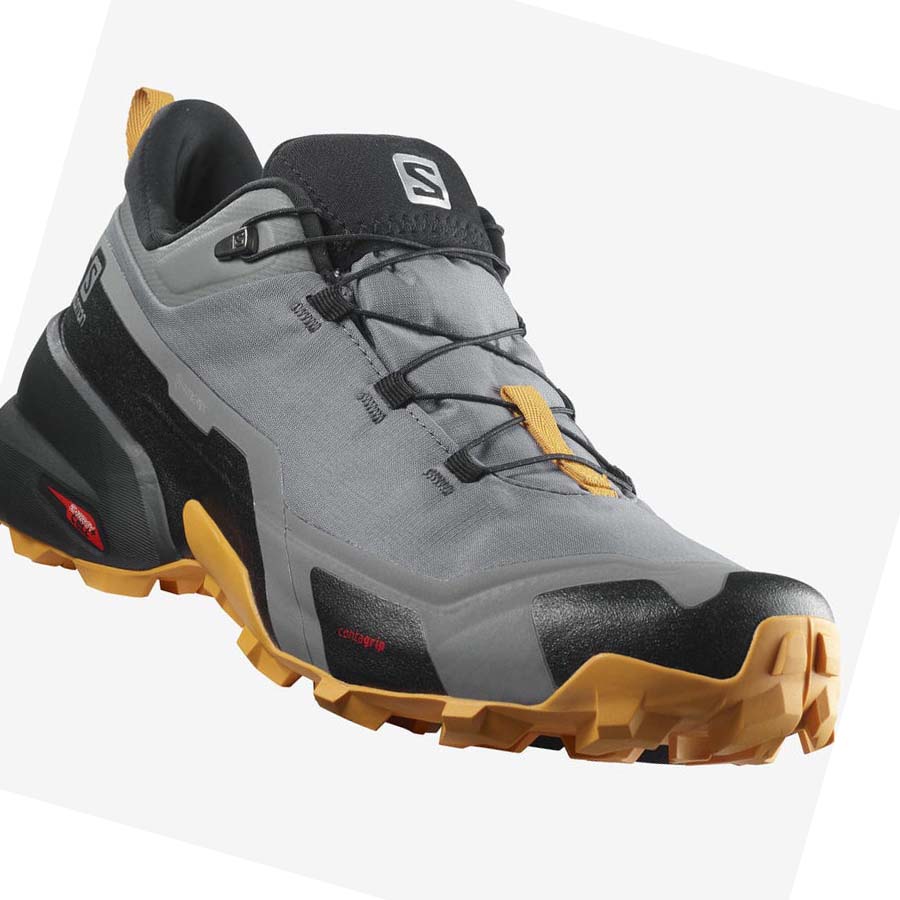 Tenis Senderismo Salomon CROSS HIKE GORE-TEX Hombre Grises | MX 3608KOR